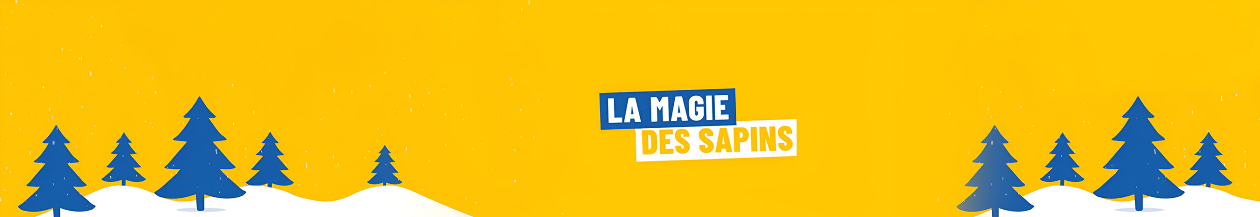 SAPIN ÉPICÉA BLEU EN POT